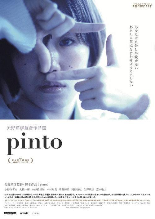 Pinto 2016 official movie poster