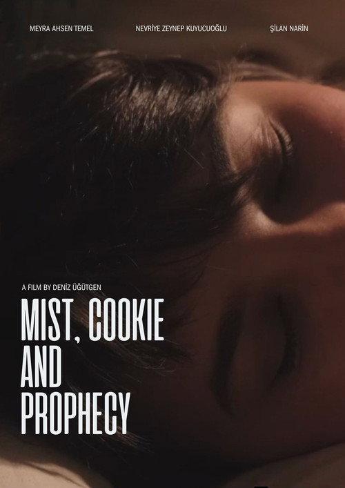 Mist, Cookie and Prophecy  official movie poster