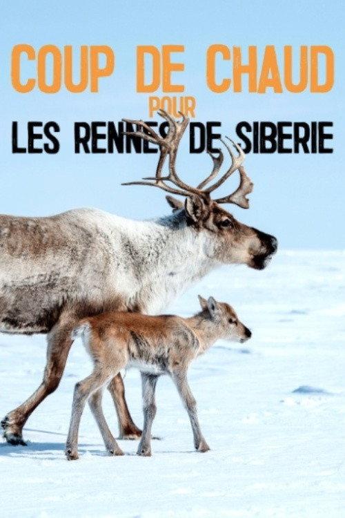 Heatstroke for the Siberian Reindeer 2020 official movie poster