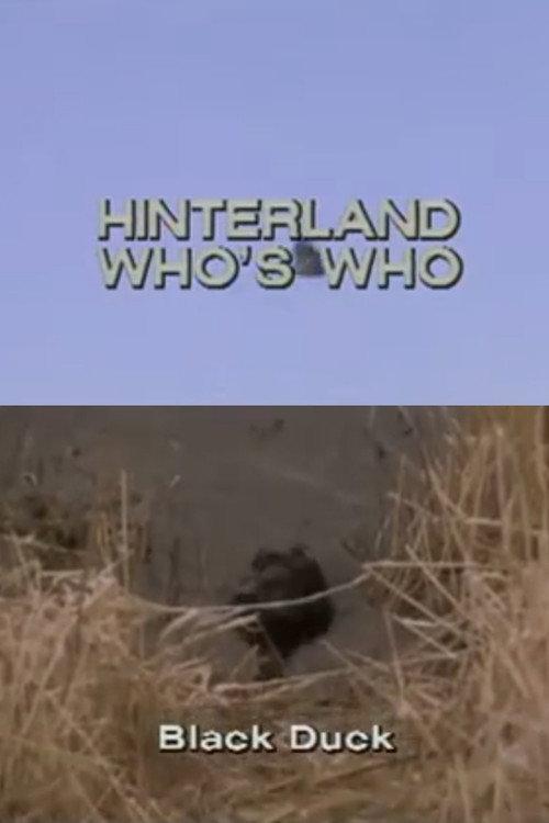 Hinterland Who's Who: Black Duck 1970 official movie poster