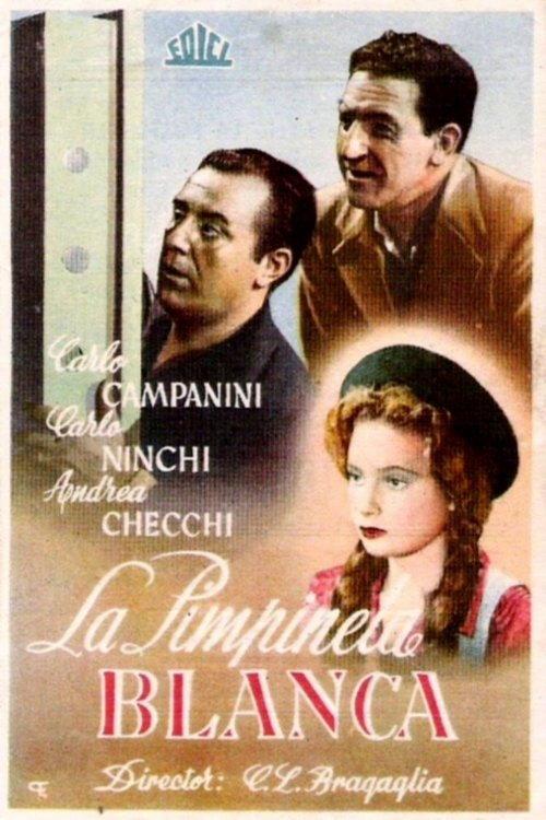 La primula bianca 1947 official movie poster