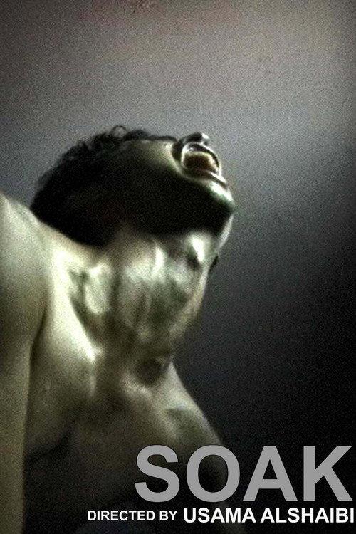 Soak 2002 official movie poster