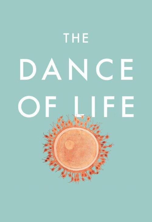The Dance of Life 1990 official movie poster