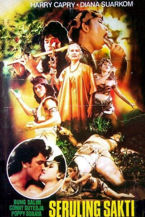 Magical Flute 1983 official movie poster