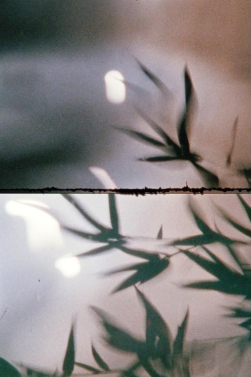 Bamboo in the Water 2022 official movie poster