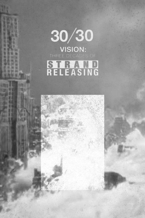 30/30 Vision: Three Decades of Strand Releasing 2019 official movie poster