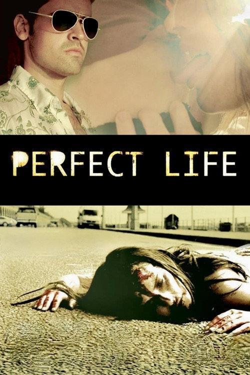 Perfect Life 2010 official movie poster