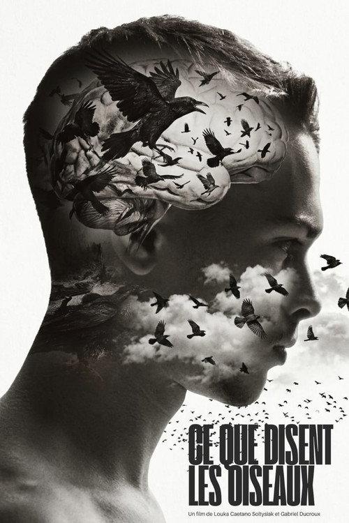 Ce que disent les Oiseaux 2026 official movie poster