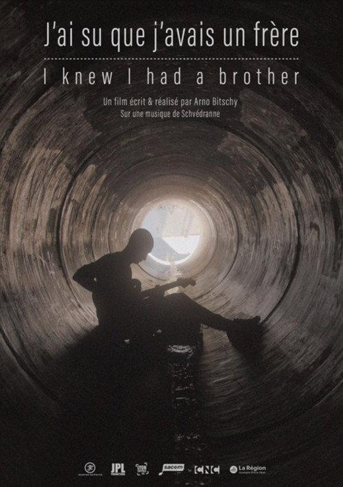 I Knew I had a Brother 2025 official movie poster