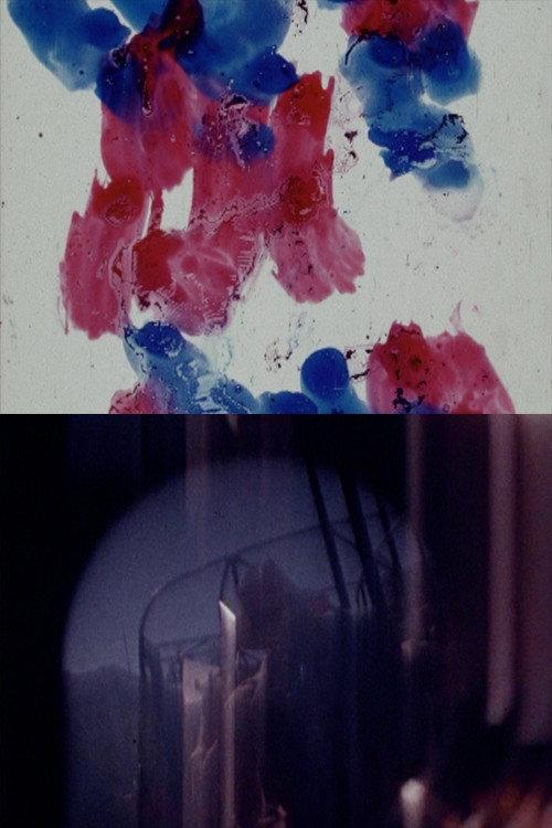 You Can See 1981 official movie poster