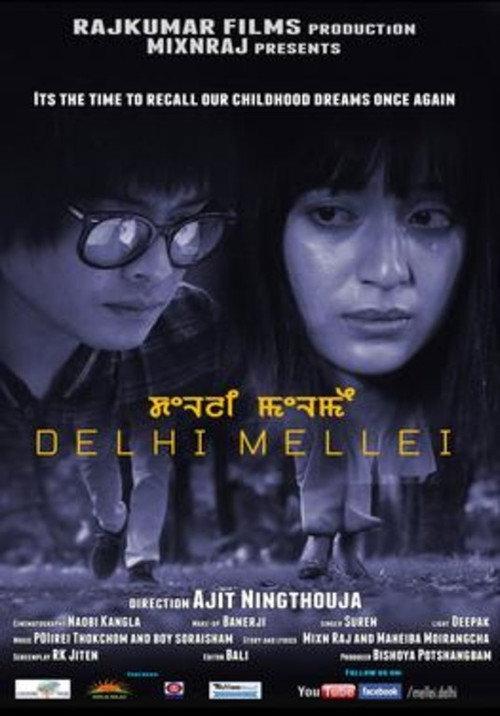 Delhi Mellei 2014 official movie poster