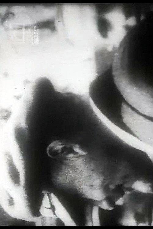 Uns mahnt ein November 1958 official movie poster