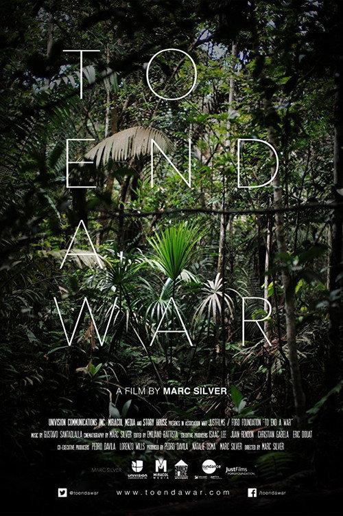 To End a War 2017 official movie poster