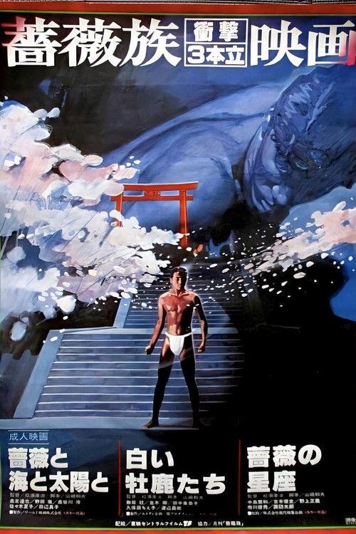 Roses, the Sea and the Sun 1982 official movie poster