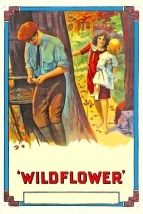Wildflower 1914 official movie poster