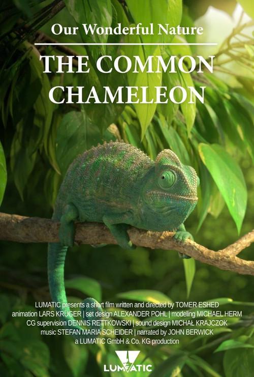 Our Wonderful Nature - The Common Chameleon 2016 official movie poster