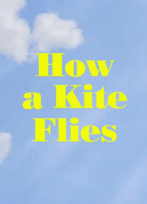 How a Kite Flies 2017 official movie poster
