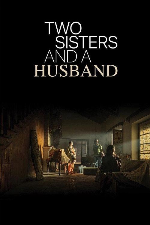 Two Sisters And A Husband 2022 official movie poster