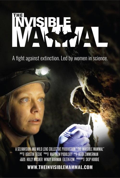 The Invisible Mammal 2025 official movie poster