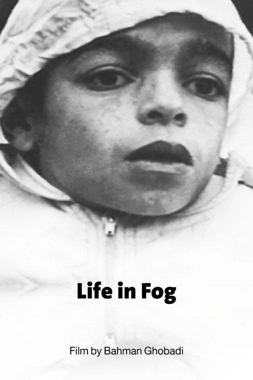 Life in Fog 1999 official movie poster