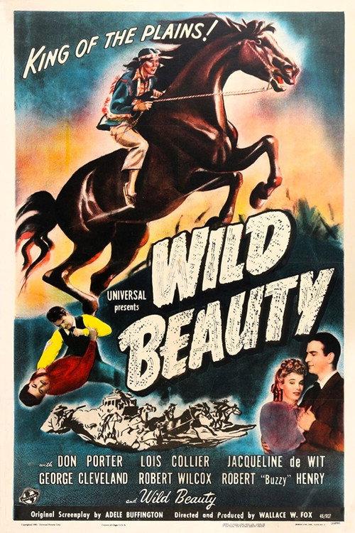 Wild Beauty 1946 official movie poster