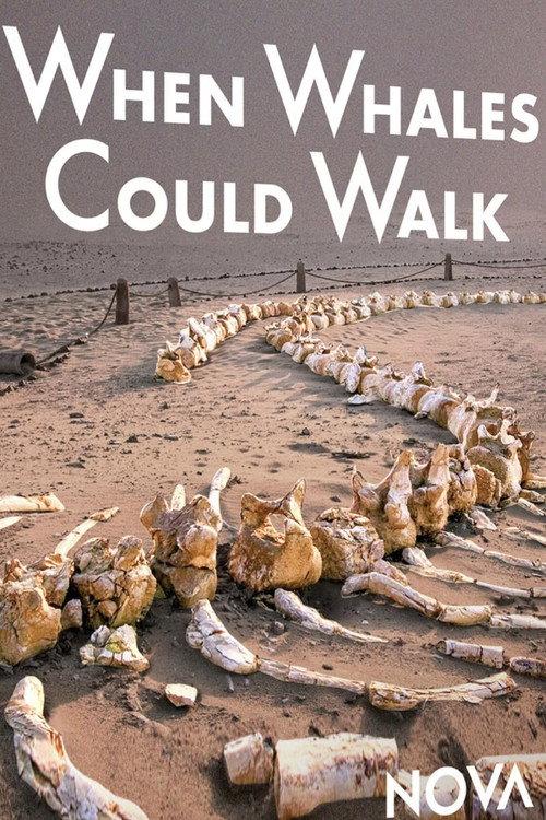 When Whales Could Walk 2024 official movie poster