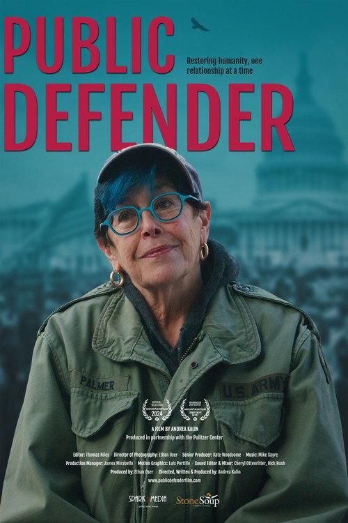 Public Defender 2024 official movie poster