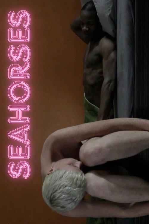 Seahorses 2014 official movie poster