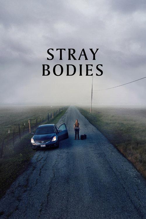 Stray Bodies 2024 official movie poster