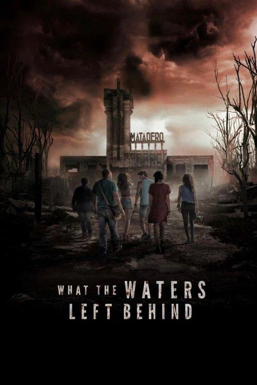 What the Waters Left Behind 2017 official movie poster