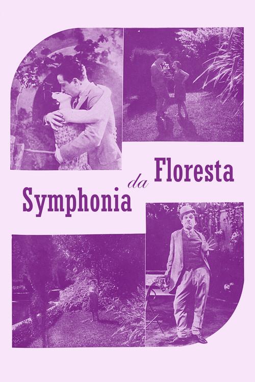 Sinfonia da Floresta 1929 official movie poster