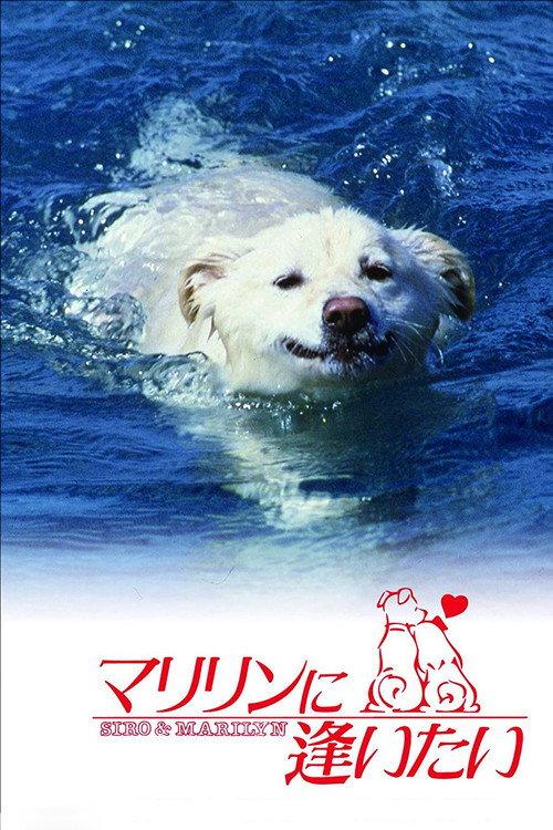 Shiro and Marilyn 1988 official movie poster