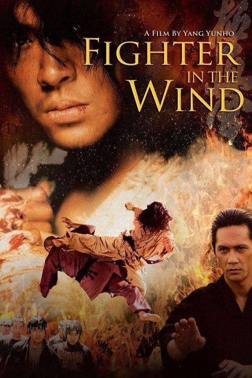 Fighter in the Wind 2004 official movie poster