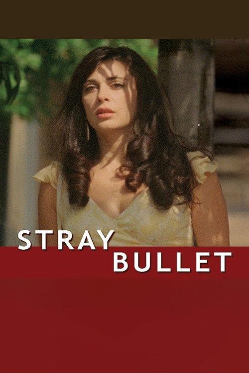 Stray Bullet 2010 official movie poster