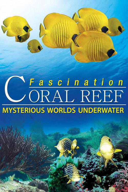 Fascination Coral Reef: Mysterious Worlds Underwater 2012 official movie poster