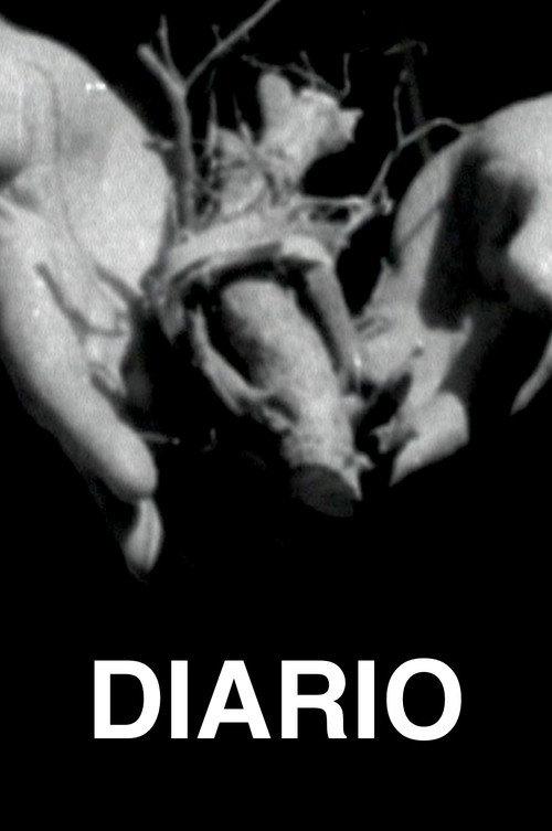 Diario 2009 official movie poster
