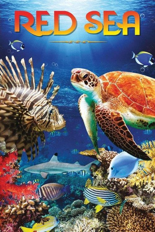 Red Sea 2016 official movie poster