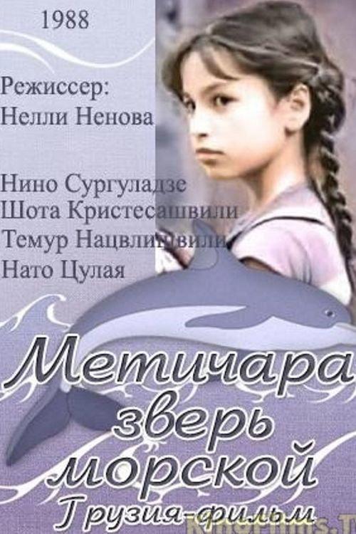 Metichara 1988 official movie poster