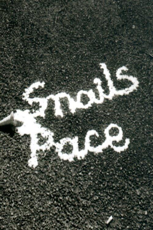 Snail's Pace 1989 official movie poster