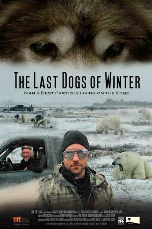 The Last Dogs of Winter 2012 official movie poster