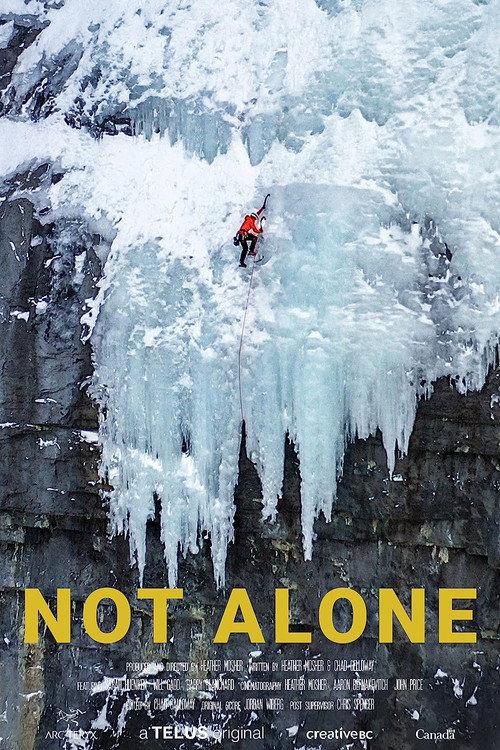 Not Alone 2022 official movie poster
