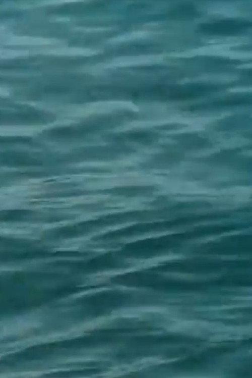 Waveforms 2003 official movie poster