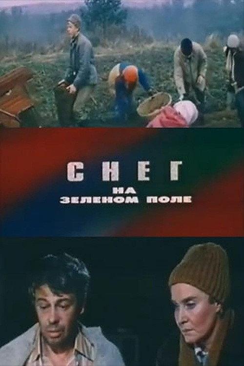 Snow on a Green Field 1981 official movie poster