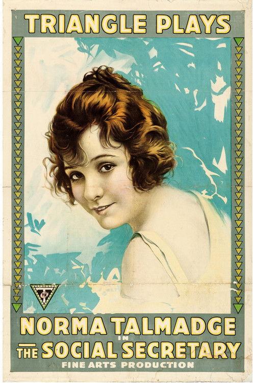 The Social Secretary 1916 official movie poster