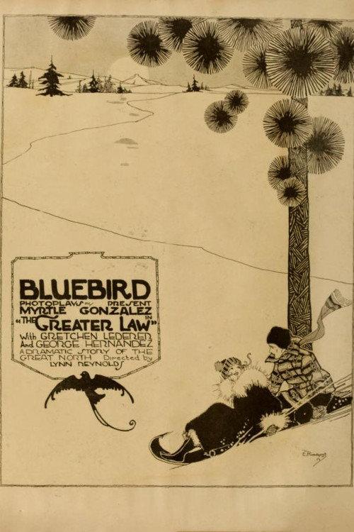 The Greater Law 1917 official movie poster