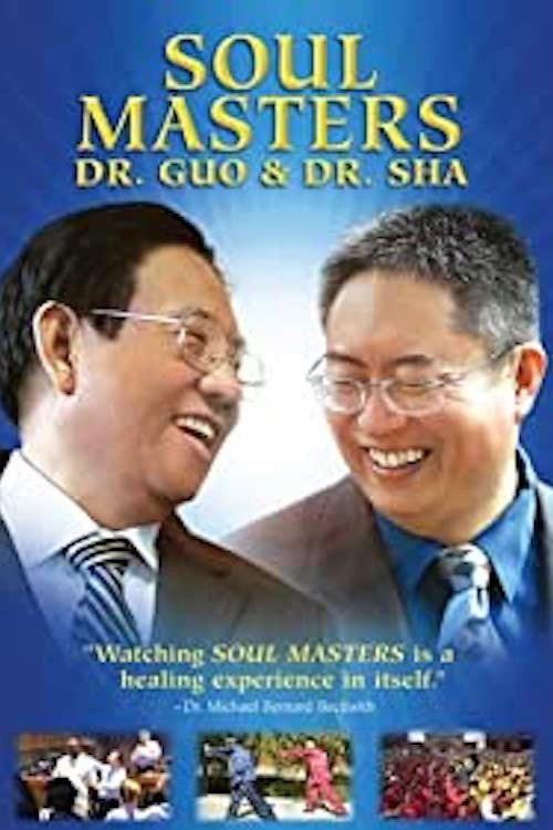 Soul Masters: Dr. Guo And Dr. Sha 2008 official movie poster