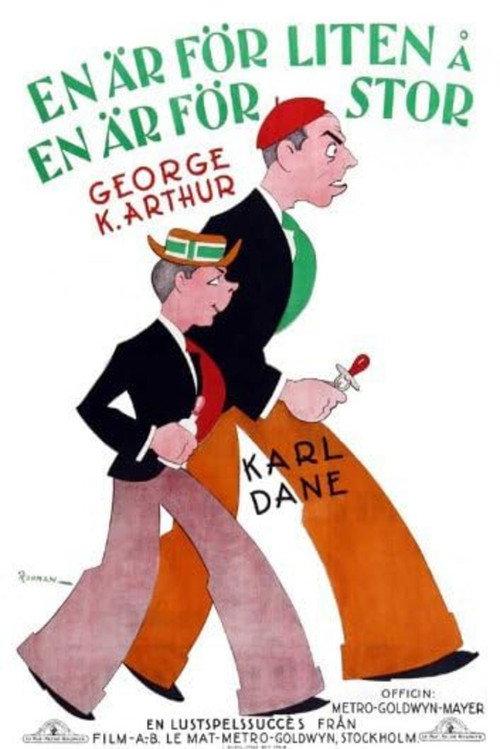 Baby Mine 1928 official movie poster