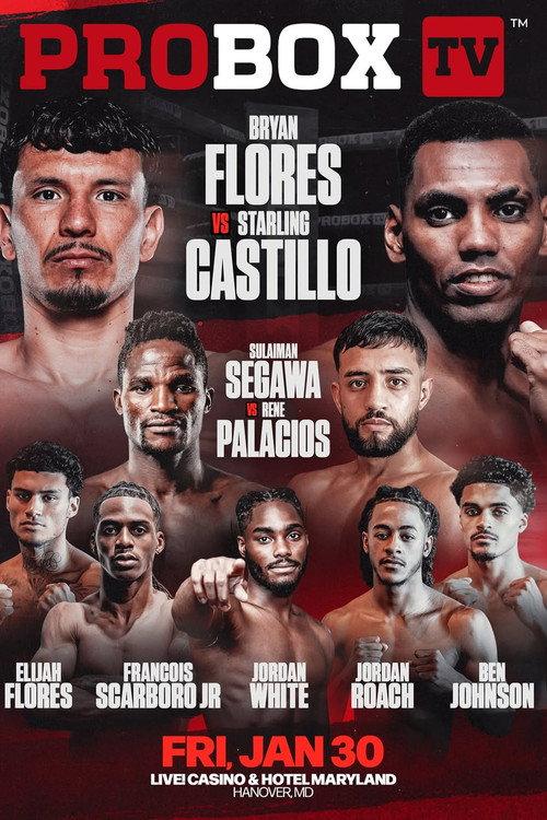 Bryan Flores vs. Starling Castillo 2026 official movie poster