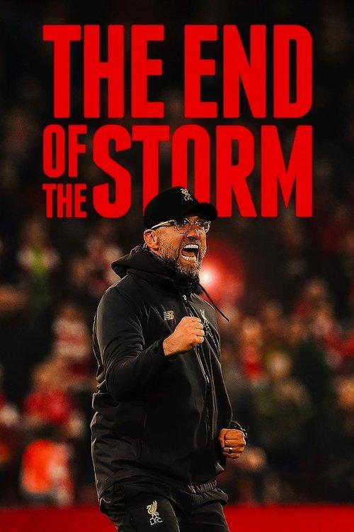 The End of the Storm 2020 official movie poster