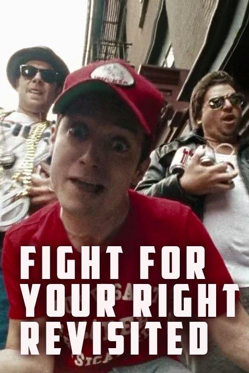 Fight for Your Right Revisited 2011 official movie poster